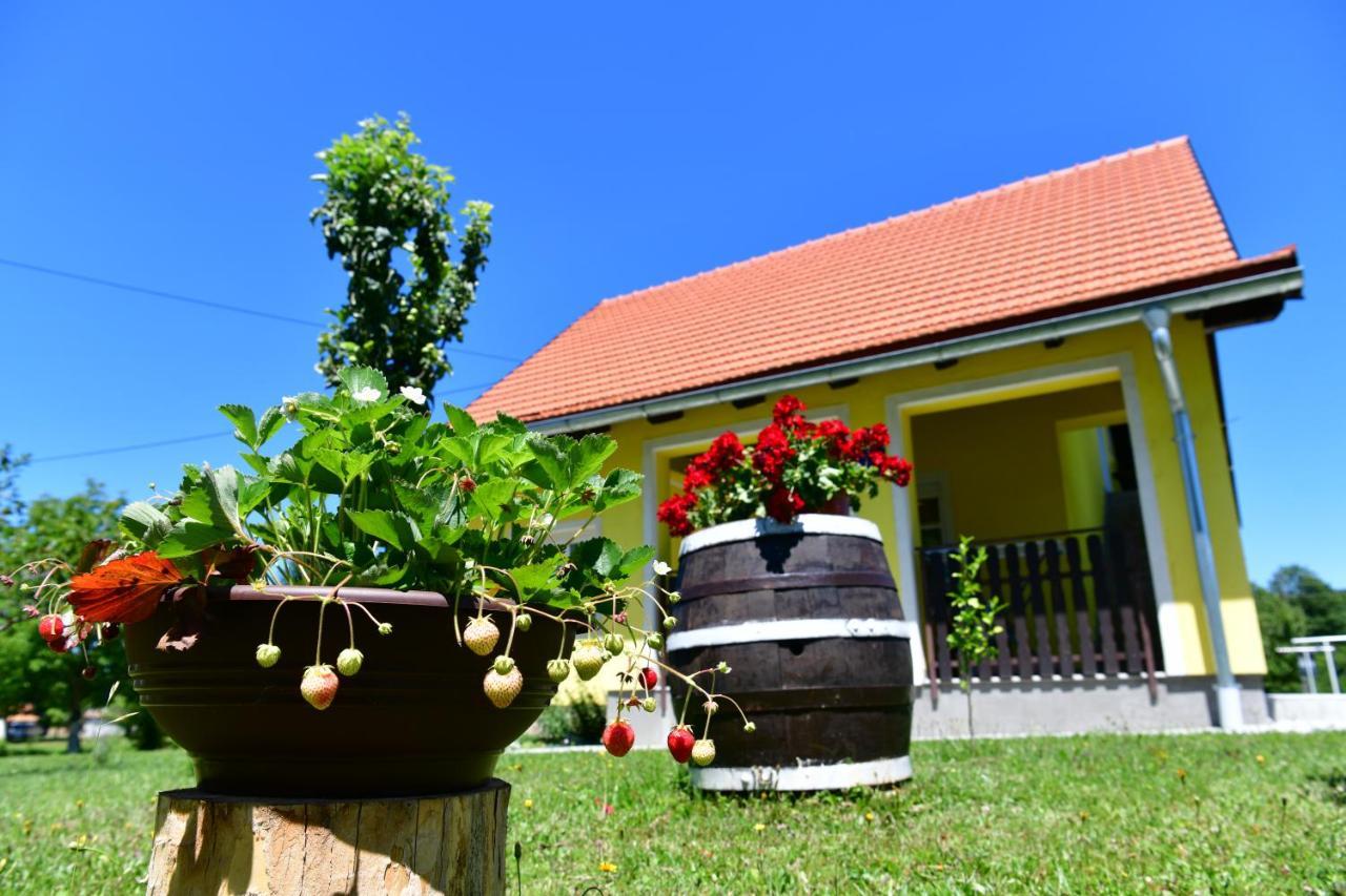 Apartman Vito Saborsko Bagian luar foto